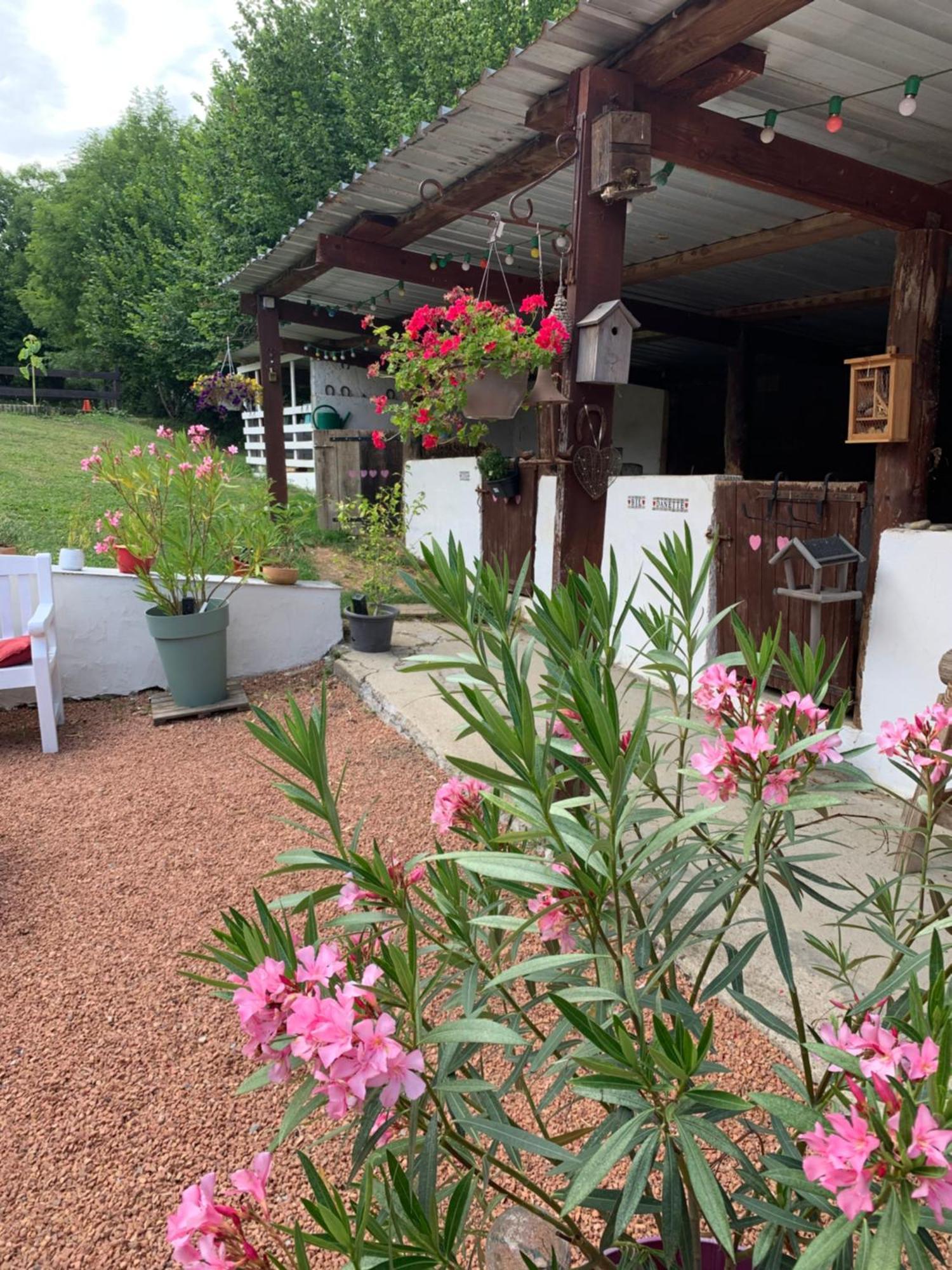 My Little Sweet Home Colombe  المظهر الخارجي الصورة
